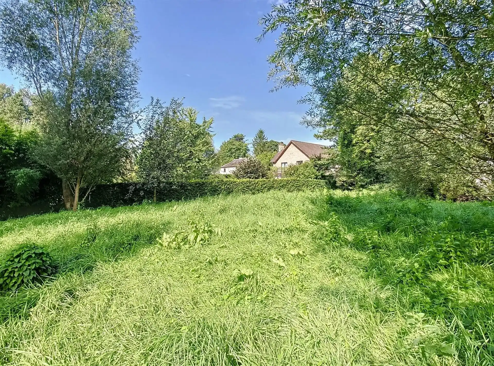 Exclusieve bouwgrond van 2.466 m² foto 6