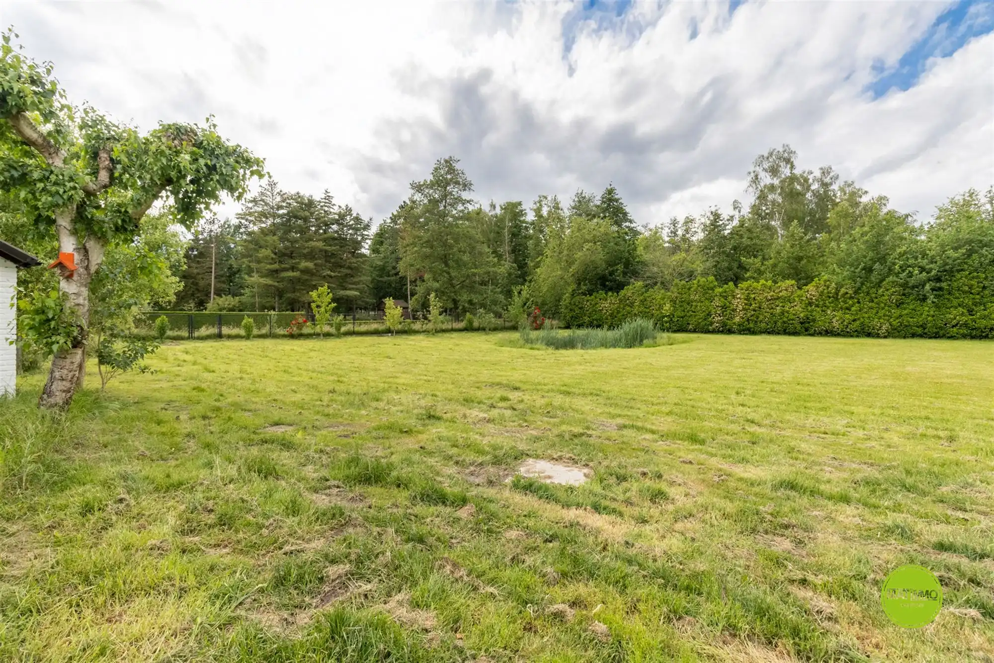 Ruime open bebouwing op een prachtig perceel van 3.764 m² foto 30