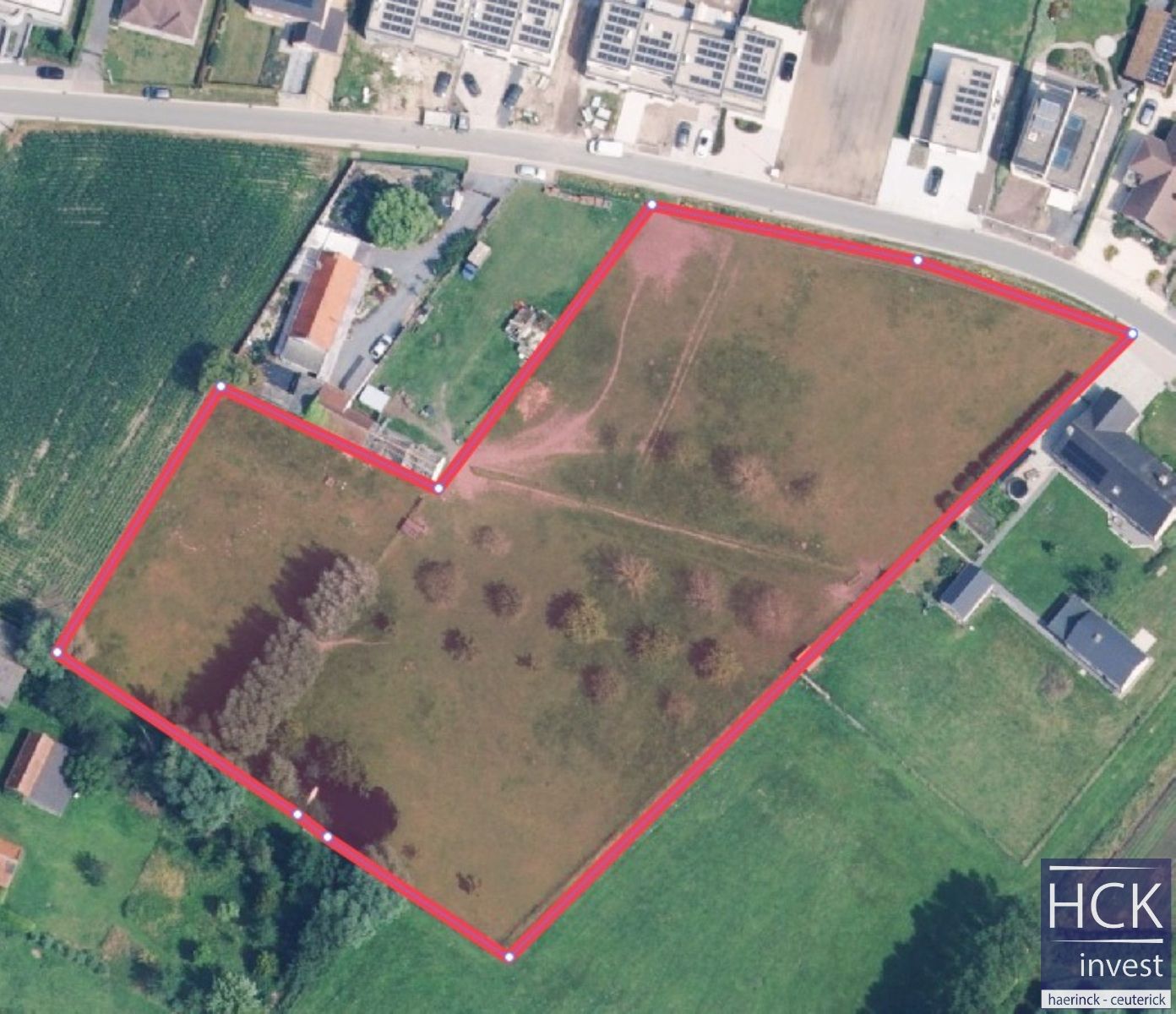 KRUISHOUTEM - Perceel weiland 1,1ha ideaal voor paardenliefhebber! foto 9