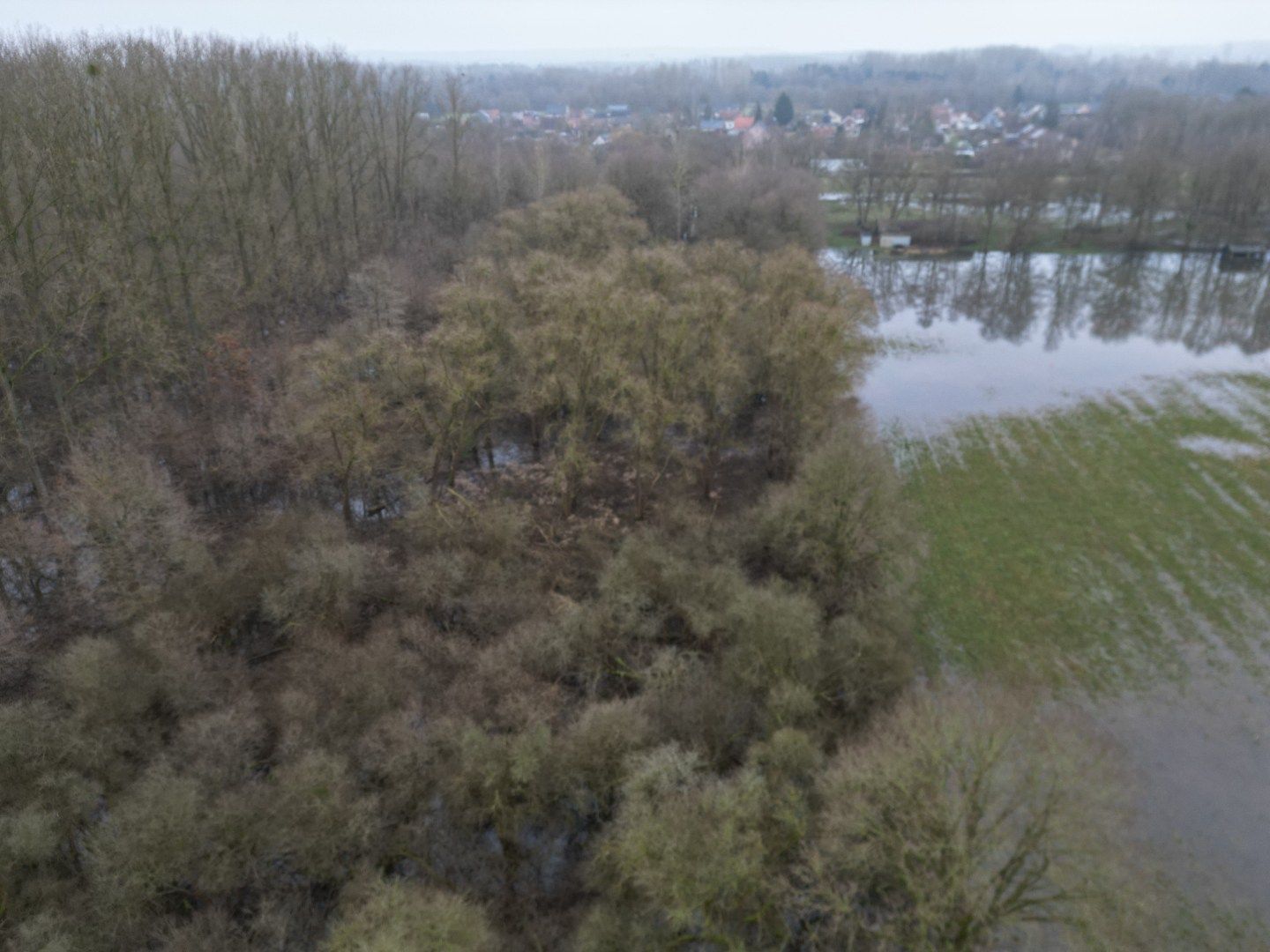 Twee percelen bosgrond in natuurgebied. foto 4