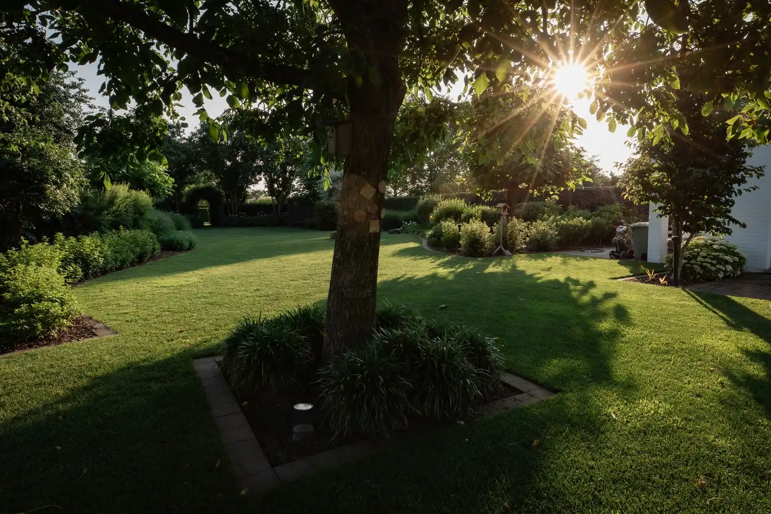 Prachtige villa met zwembad op 1 ha foto 6