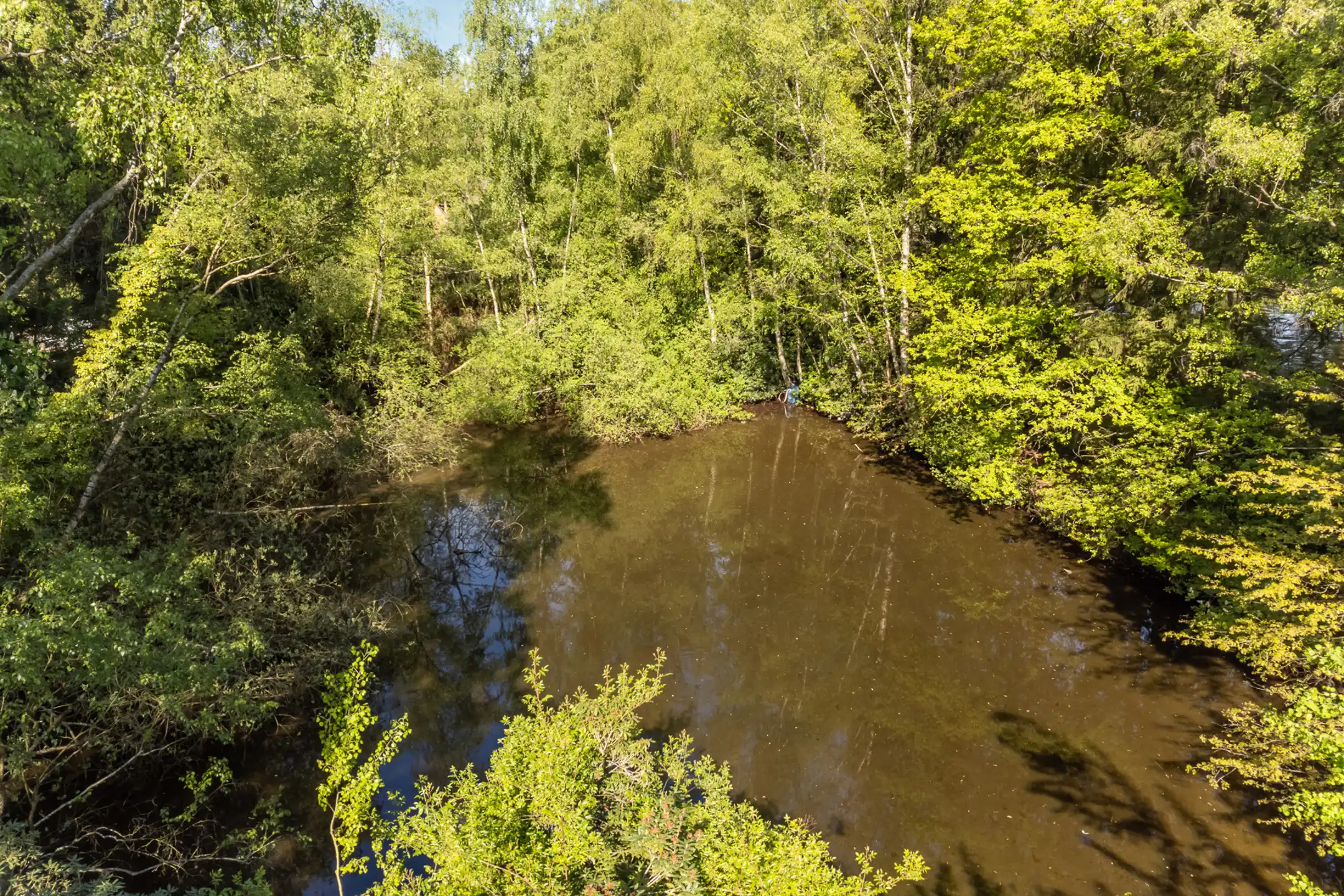 Gezellige, op te frissen, vakantiewoning nabij het kanaal Dessel-Schoten. foto 35