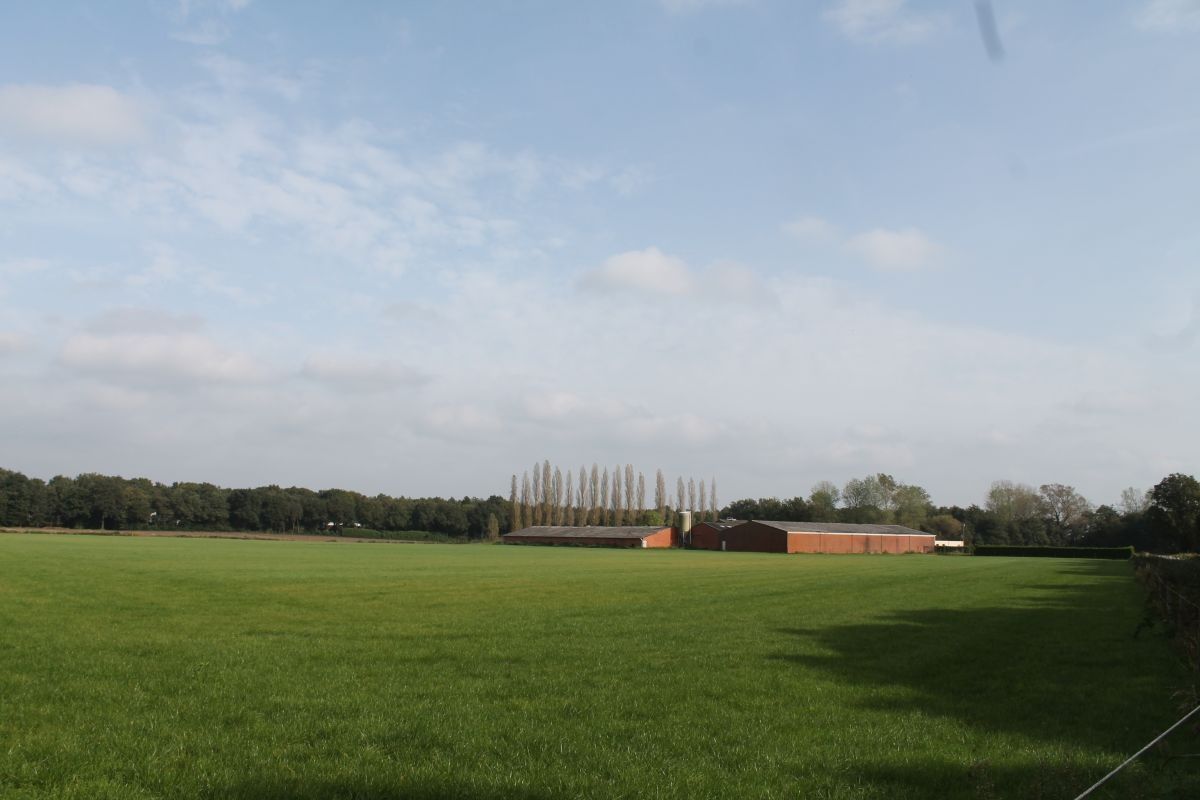 Boerderij te koop Koningsstraat 29 - 2381 Weelde