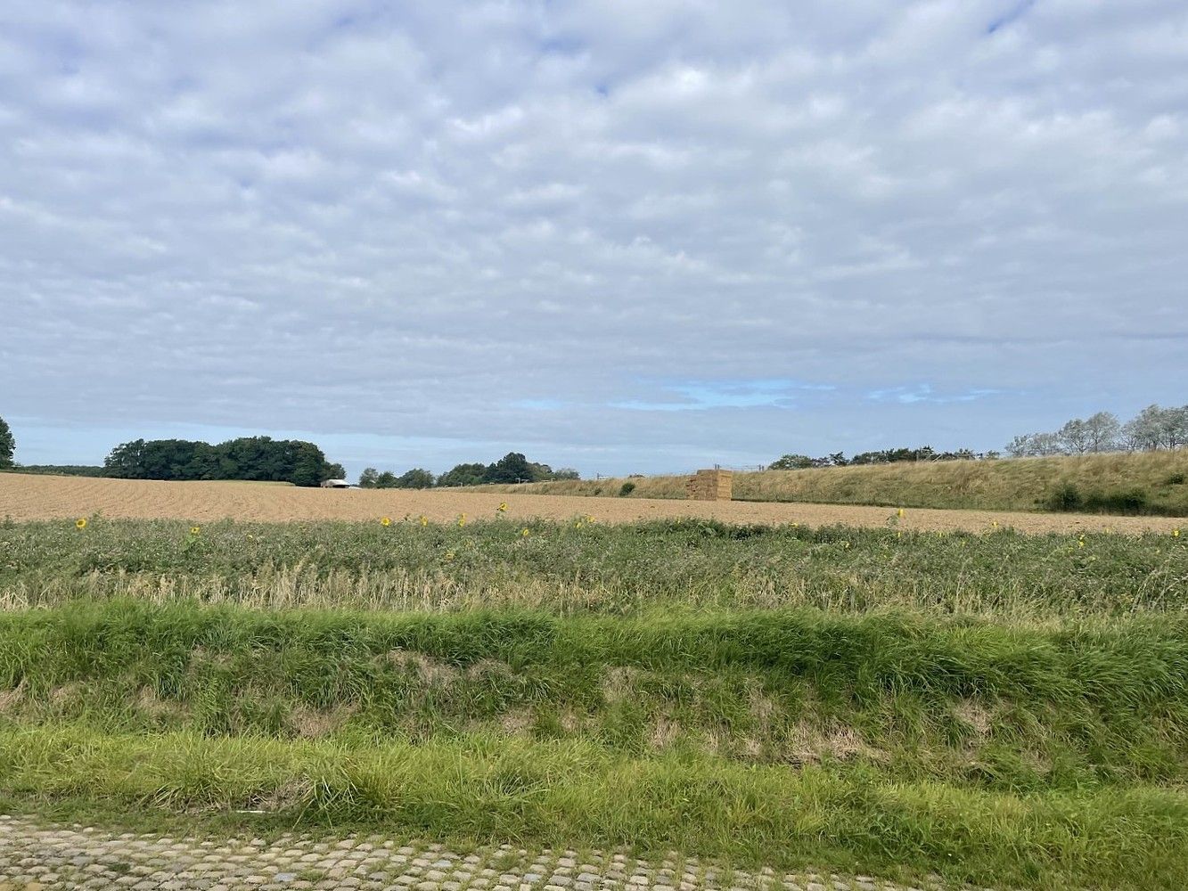 Verrassend ruime, landelijk gelegen woning van ca. 275m² met 5 kamers foto 4