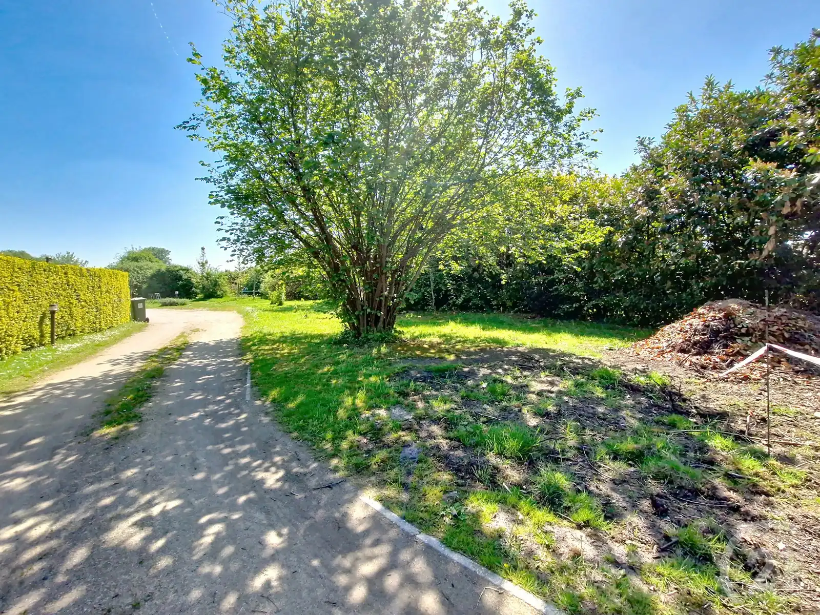 Nieuw te bouwen woning in Haacht! foto 5