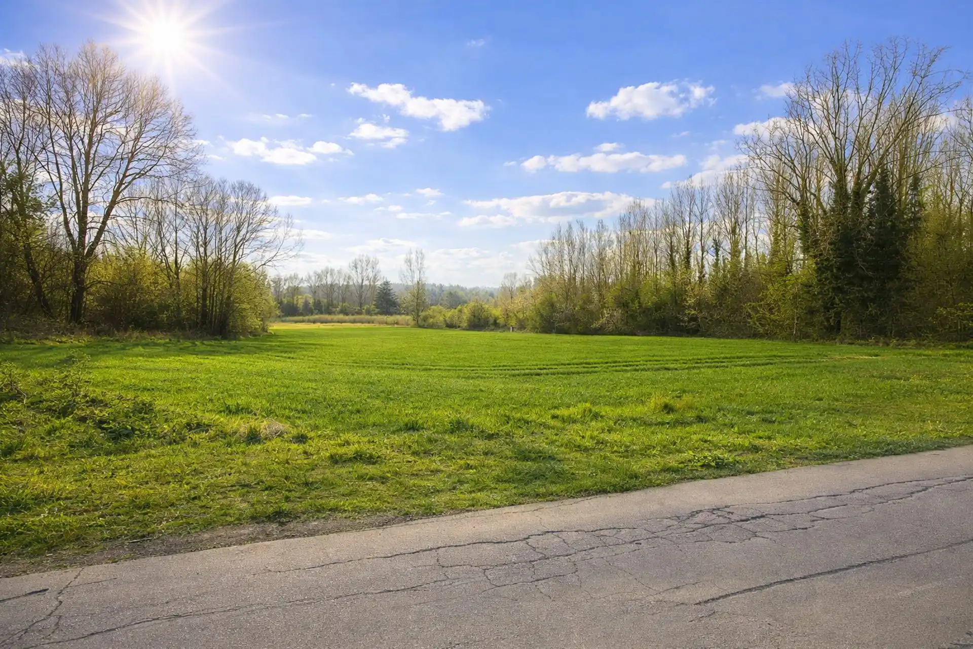 Bouwgrond: vergunning voor 3 woningen! foto 3