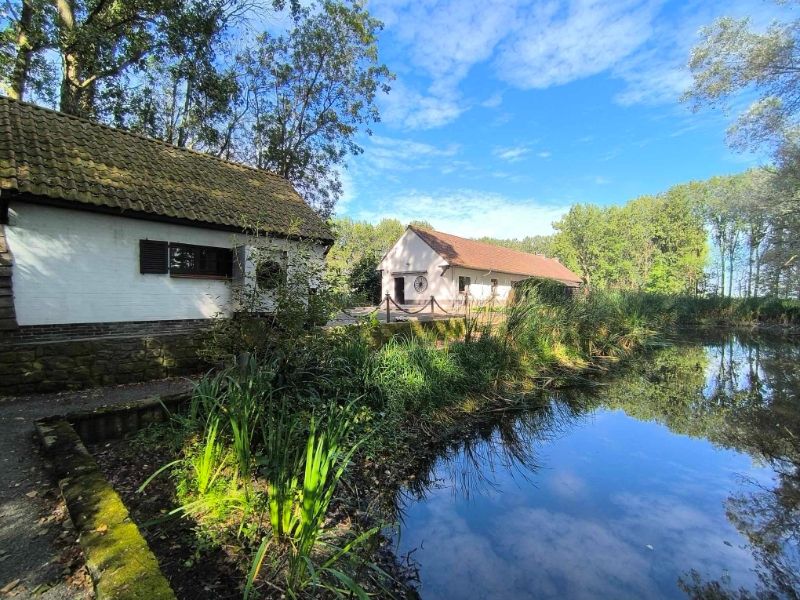 Landelijke villa met grote vijver foto 9