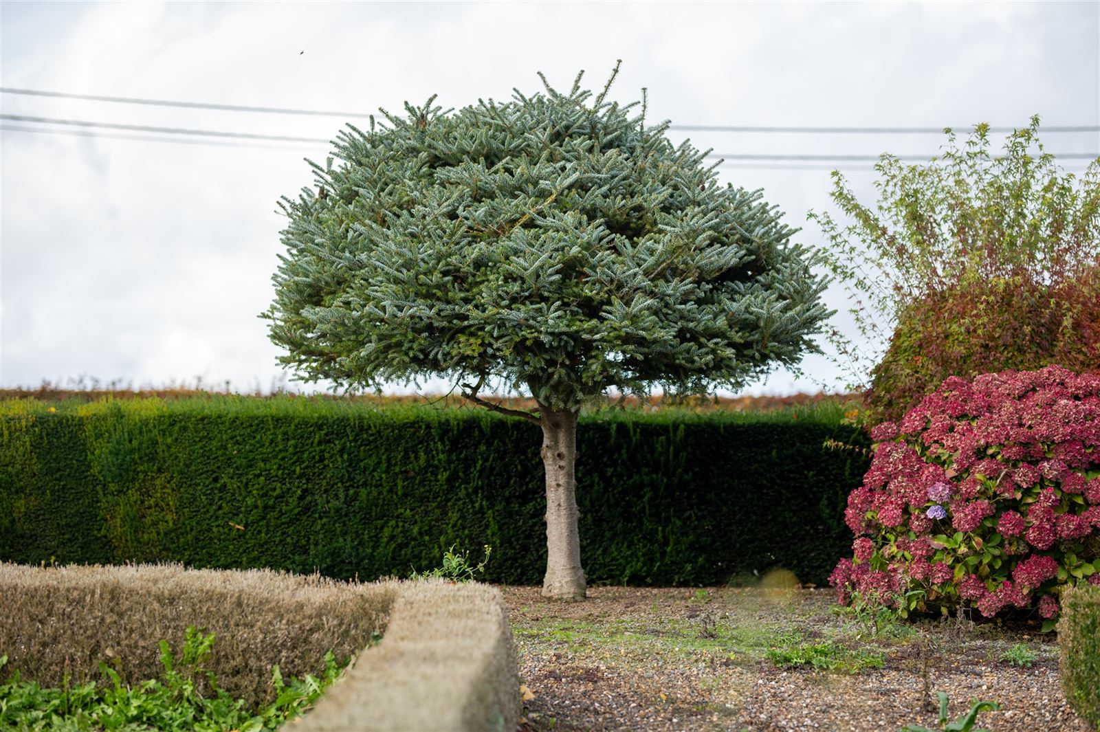Rustig gelegen deels gerenoveerde woning foto 4