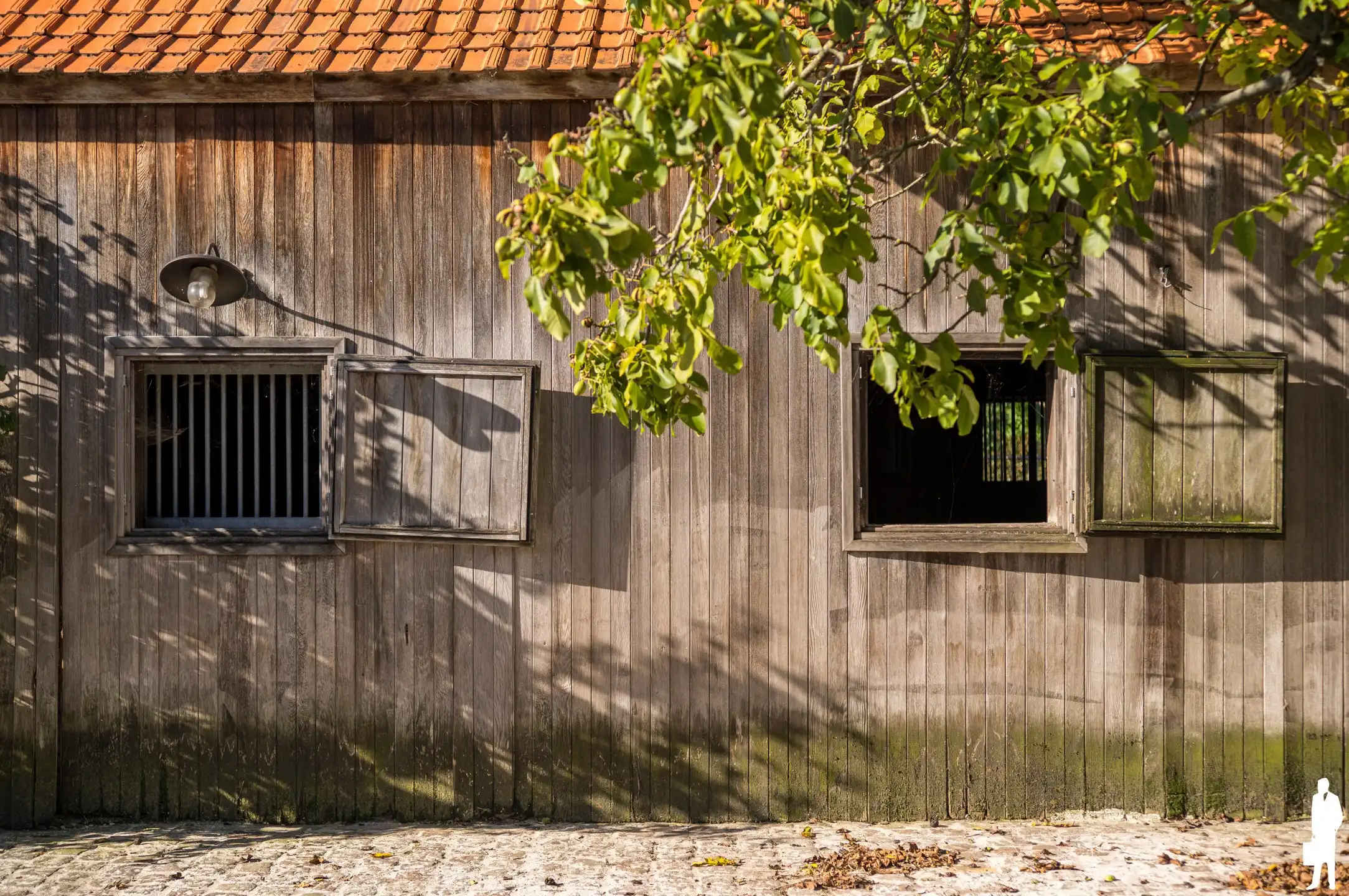 Uitzonderlijk gelegen paardeneigendom op ca. 2 hectare foto 6
