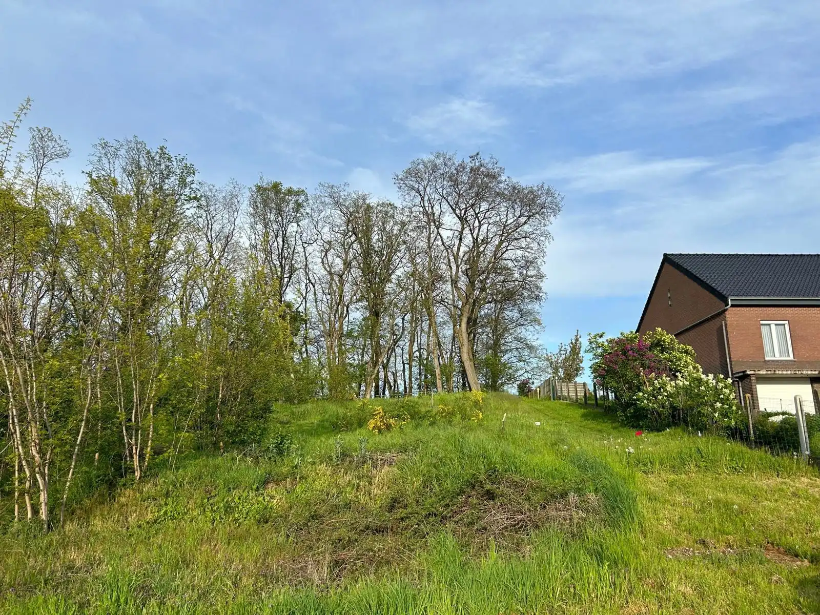 Bouwgrond 7a04ca te Bekkevoort foto {{pictureIndex}}