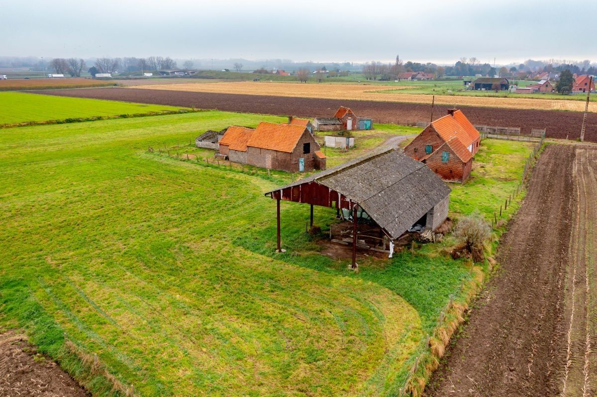 Hoevetje op 2 ha 67 are te koop te Kruisem foto 7