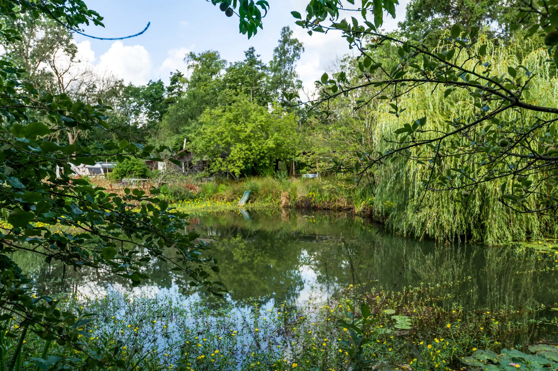 Chalet met 2 slpks op 2.710 m² recreatiegrond in Vorselaar. foto 21