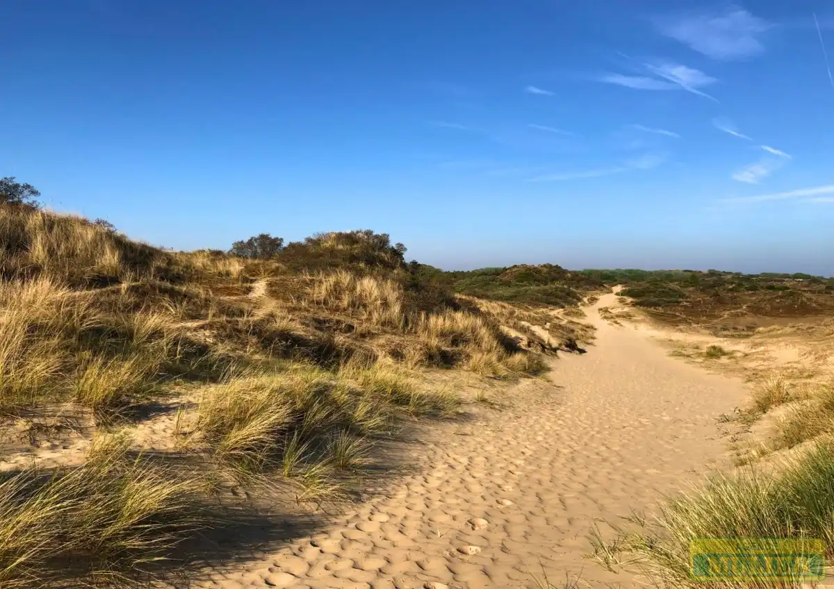 Huis te koop foto 17