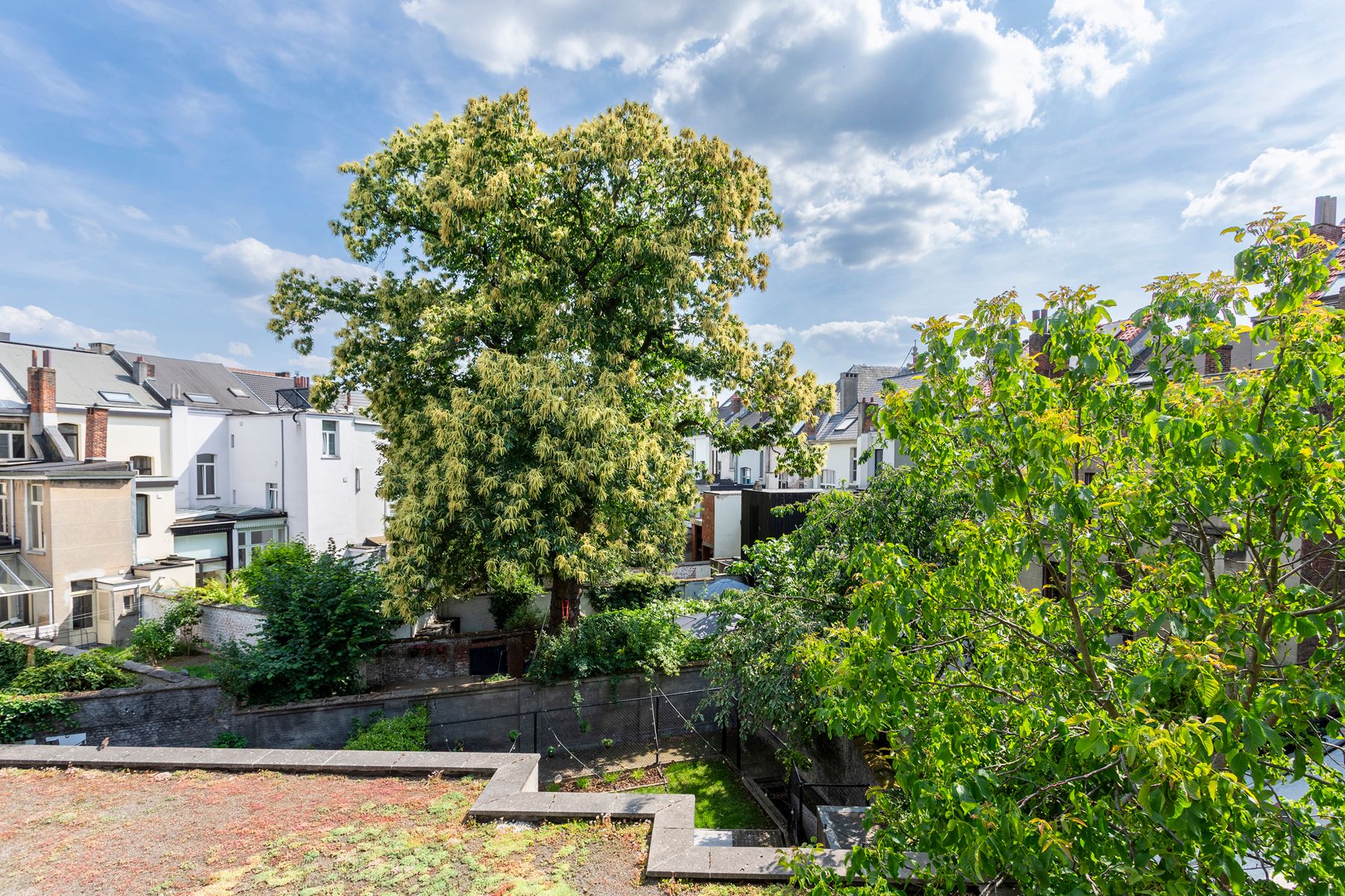 Stijlvol wonen nabij Zurenborg met uitzicht op groen foto 4