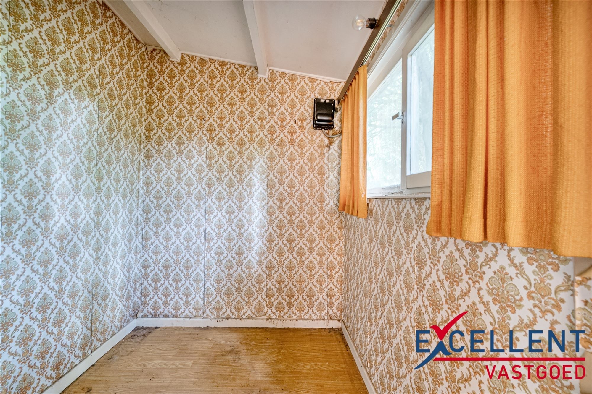 Unieke kans voor natuurliefhebbers foto 7