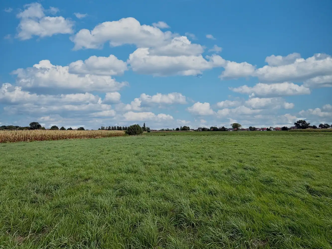 Recente, energiezuinige woning met landelijk verzicht foto 16