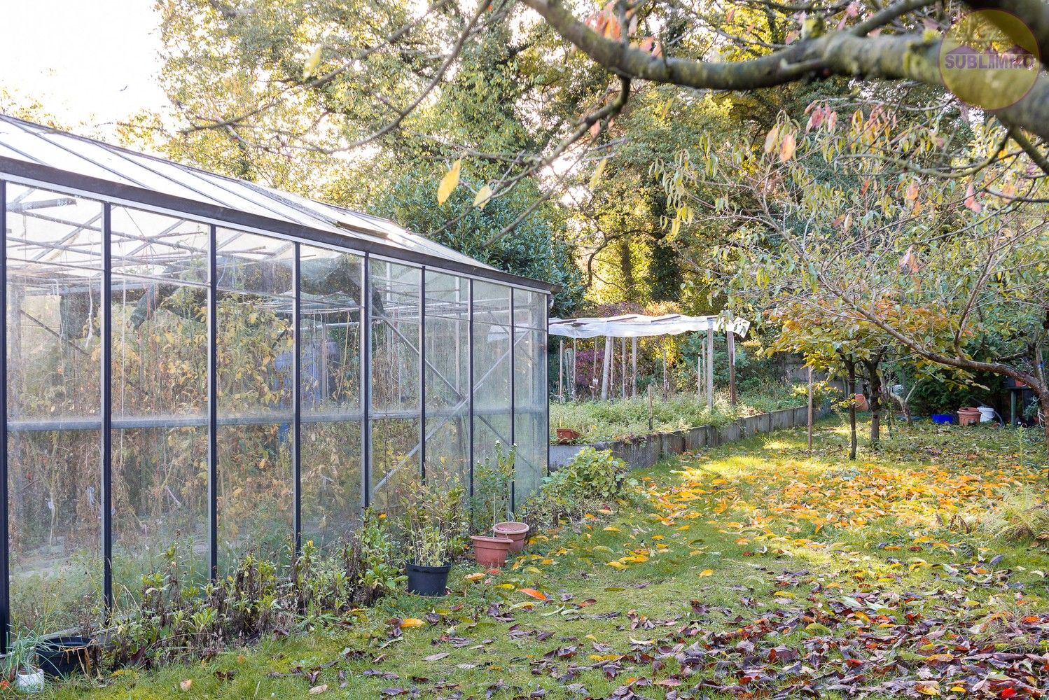 Ruime woning met afzonderlijk appartement op een perceel van 858 m² in Mol. foto 30