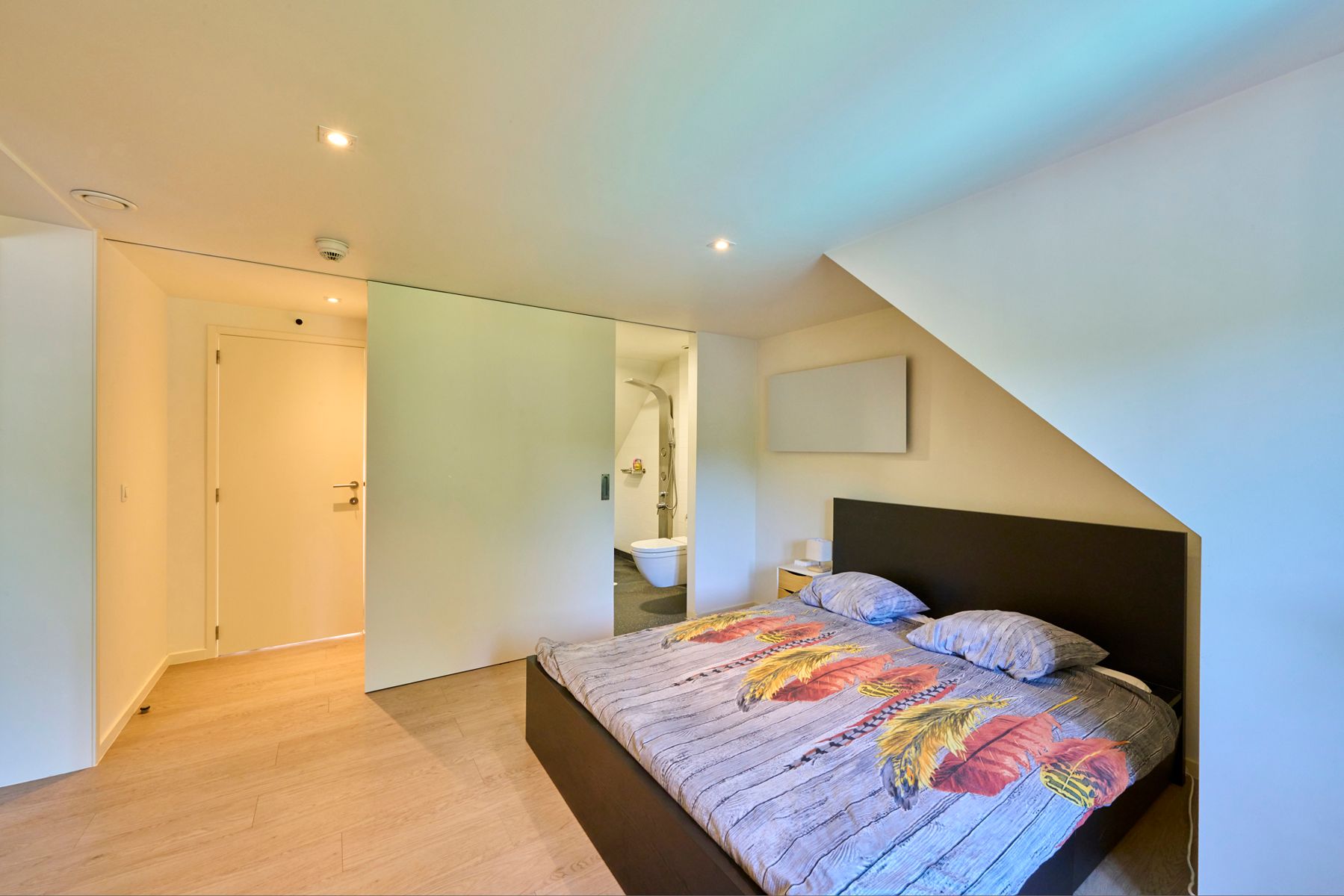 Exclusieve woning met handelzaak,appartement, zwembad en lift. foto 48