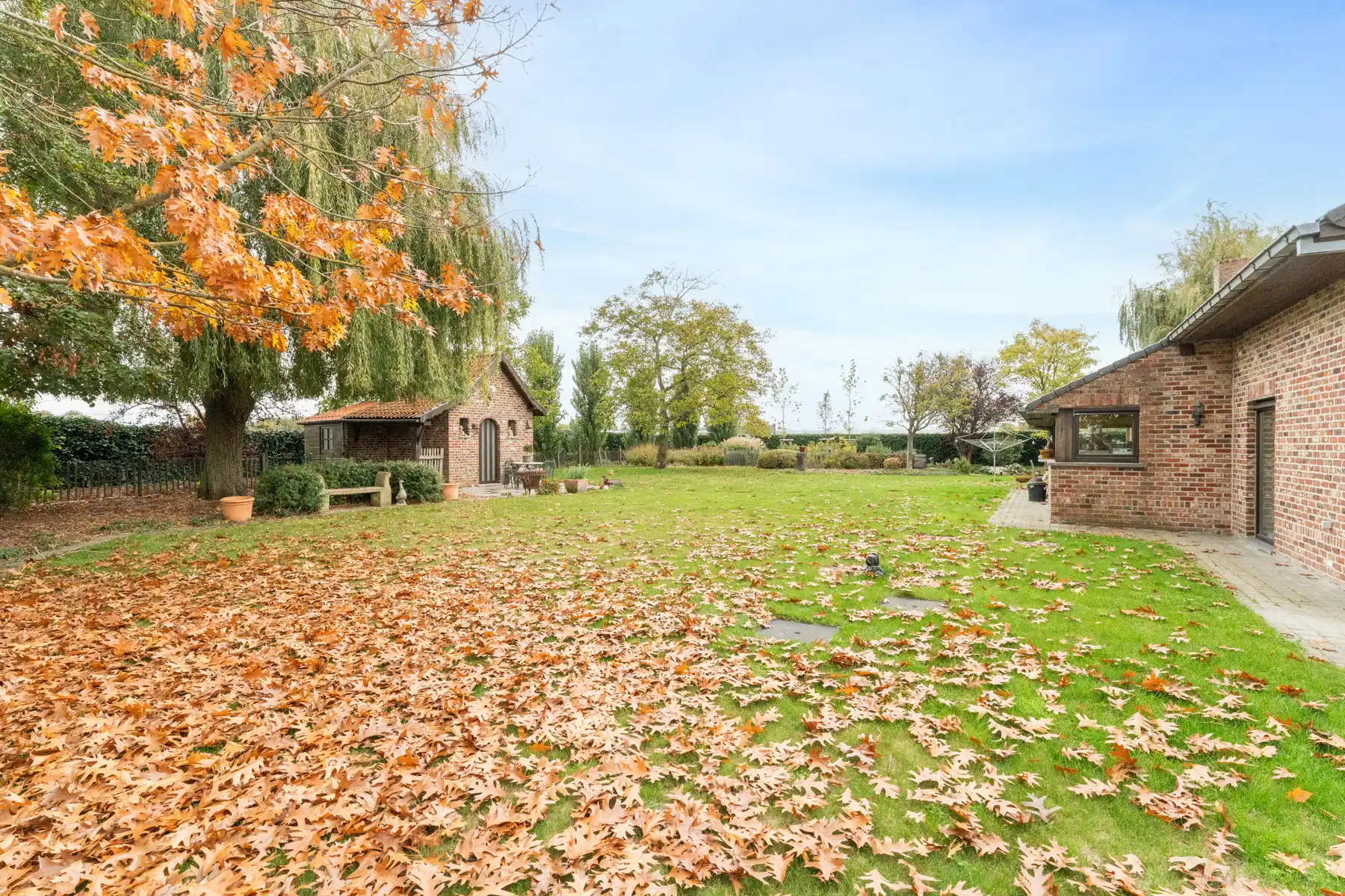 Landhuis met 2 magazijnen, rustig gelegen op 5.388 m² foto 10