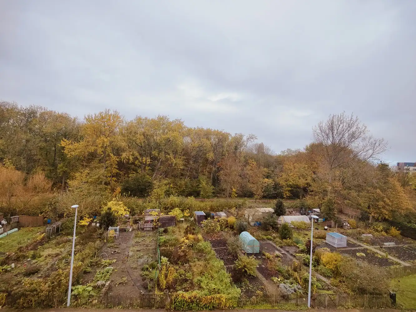 RESIDENTIE CHRISTA foto 11