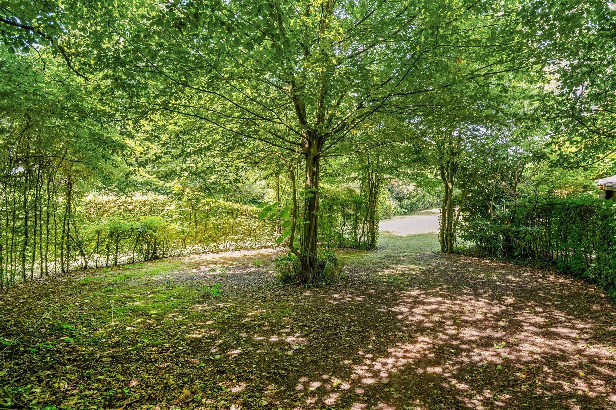 ZEER RUIME EN KARAKTERVOLLE WONING GELEGEN OP EEN BREED, UITGESTREKT EN ZUIDELIJK GEORIËNTEERD PERCEEL VAN 36A20CA TE BALEN (HULSEN) foto 40