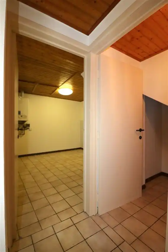 charmant, ruim, mogelijkheid beroep of kangoeroe foto 60