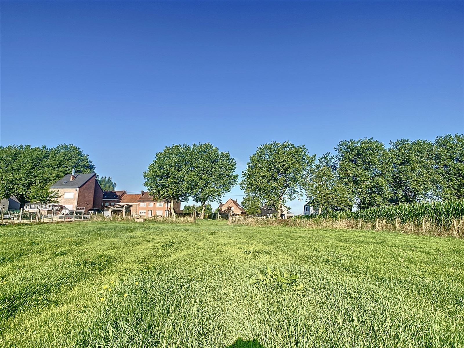 weidegrond met directe toegang tot de straat foto {{pictureIndex}}