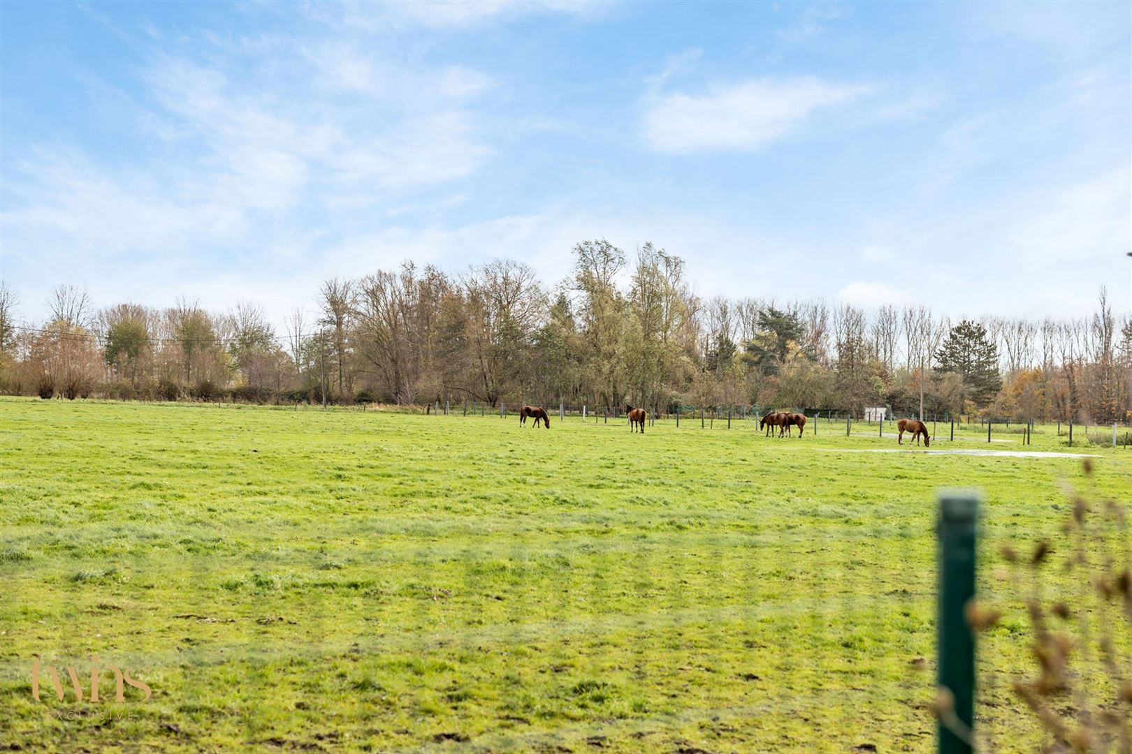 Vrijstaande woning met ruim magazijn en hoogwaardige afwerking foto 47