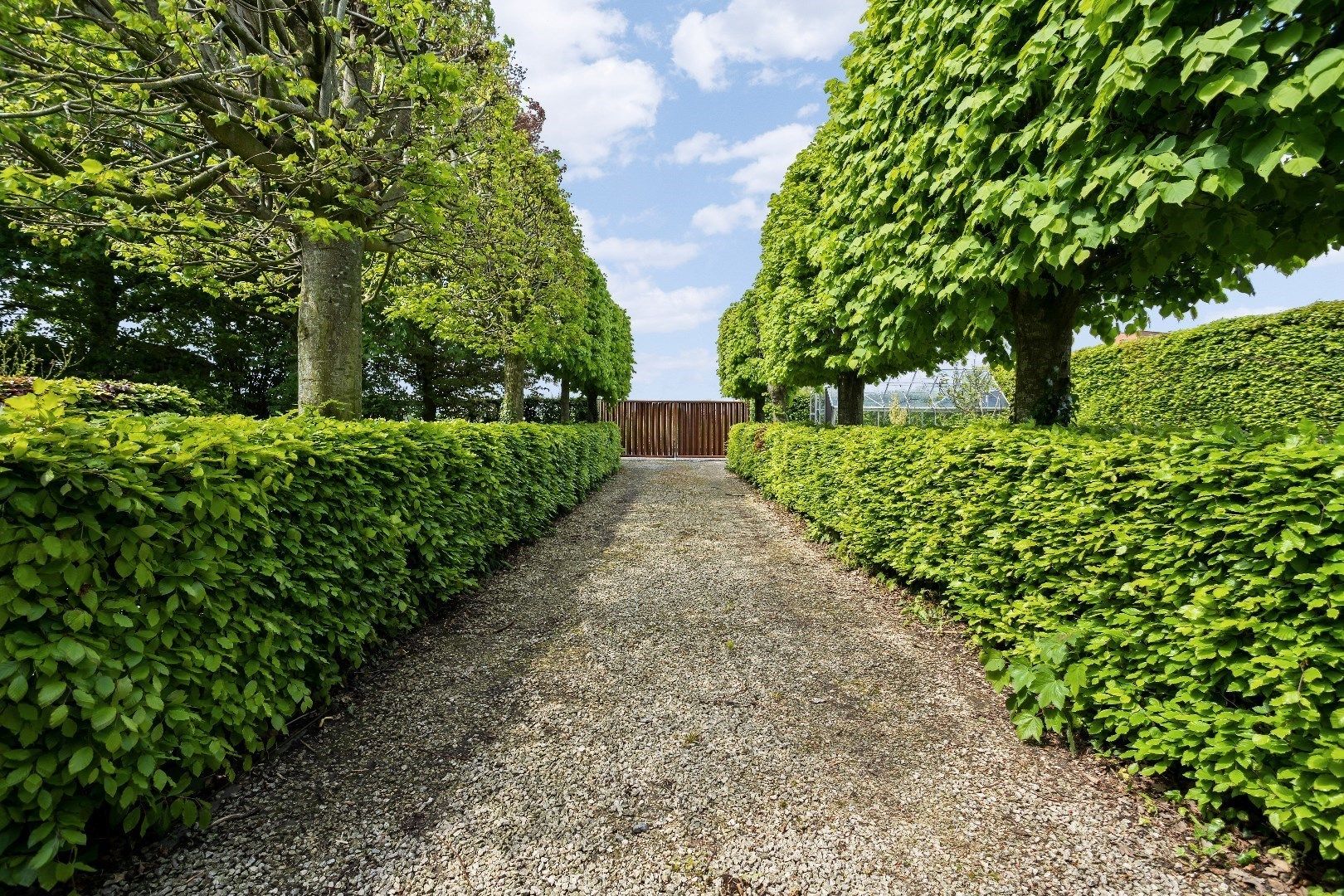 Hoofdfoto van de publicatie: Villa met zonnige tuin, garage en carport in Houthulst