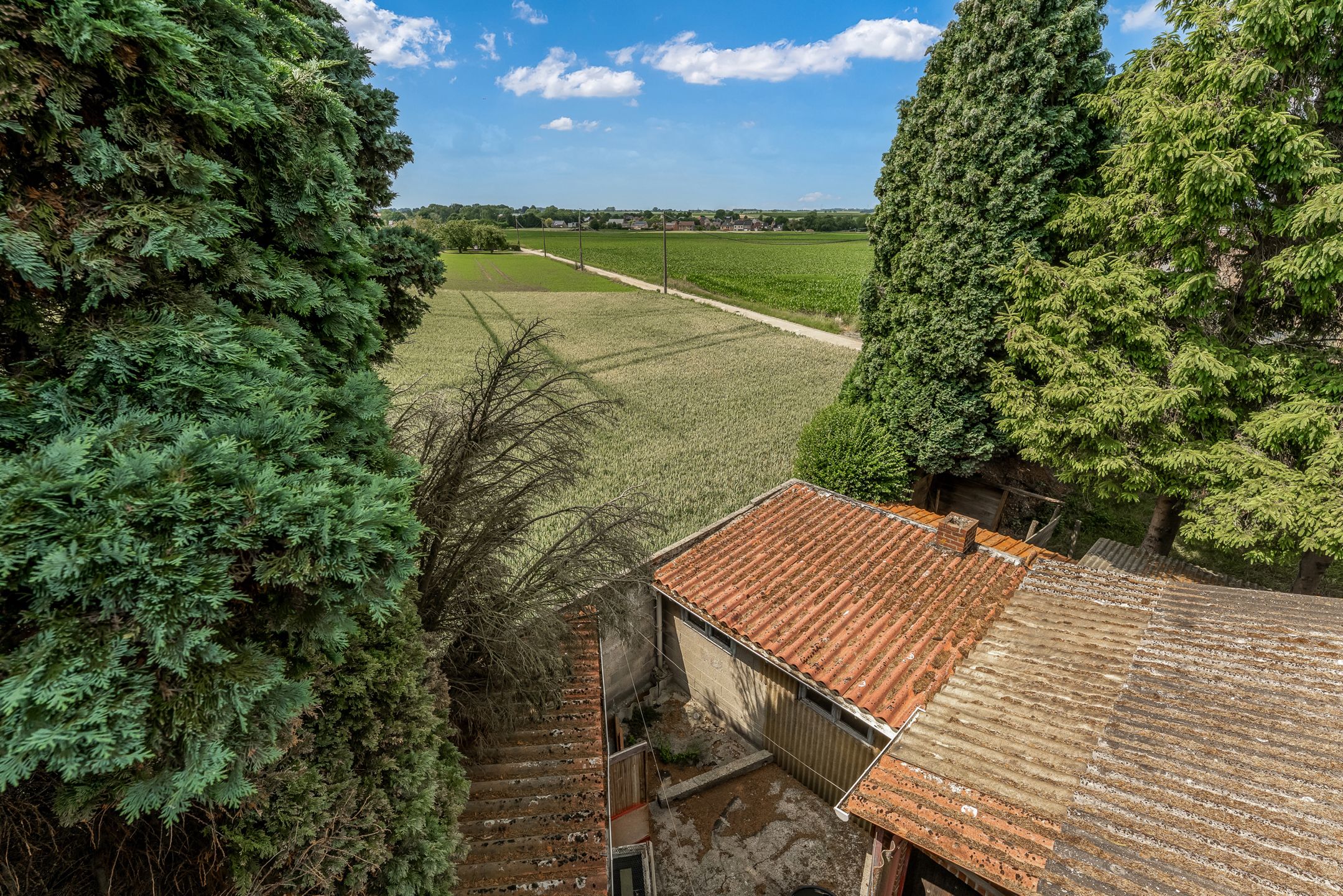 Charmante woning op 6a30ca te Kesselt foto 23