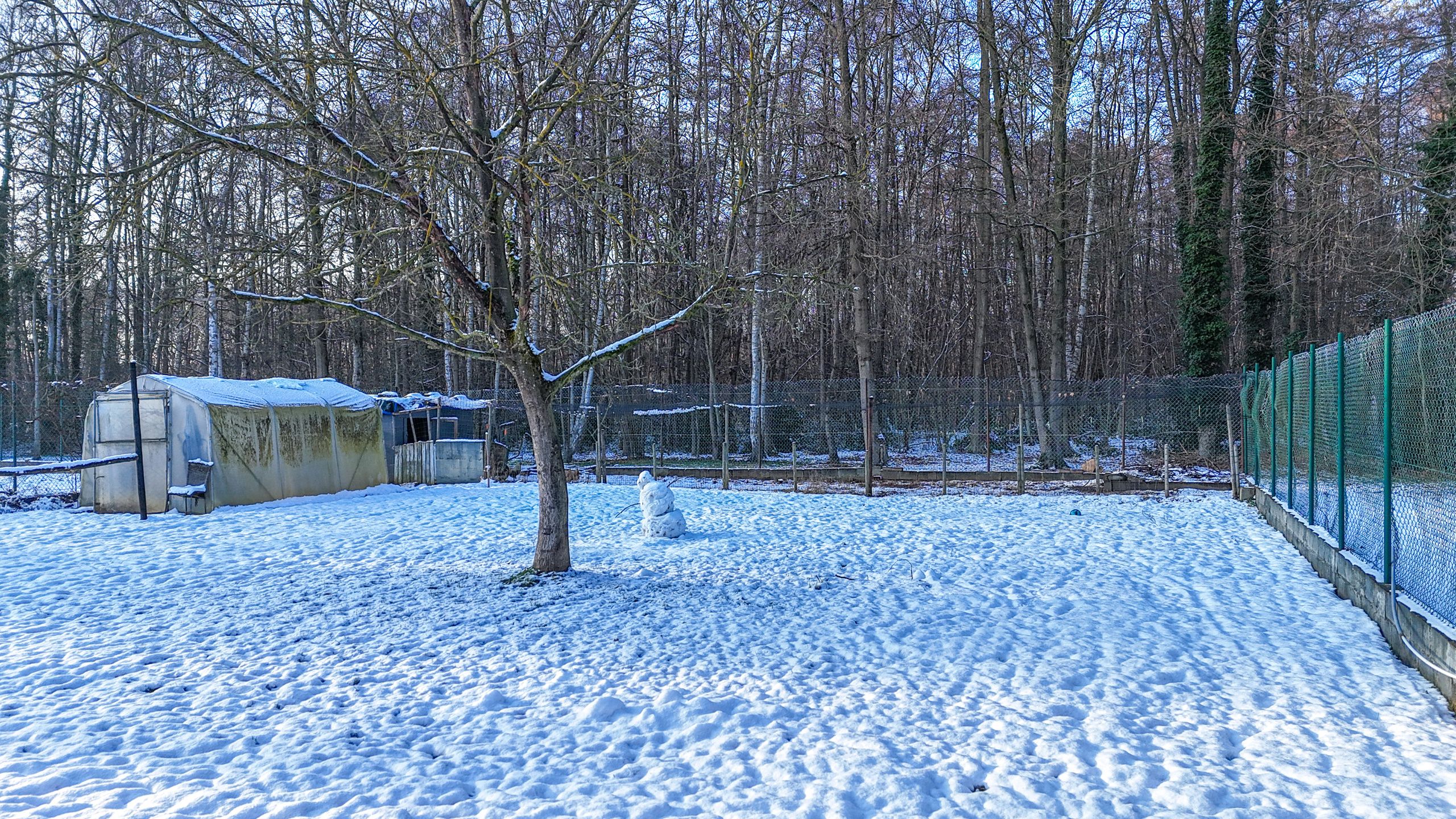 Instapklare halfopen bebouwing op topligging dicht aan natuurzone! foto 7