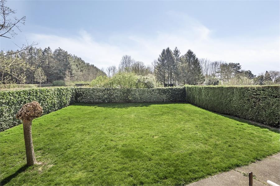 Huis te koop met zonnige tuin in Schaffen (Diest) foto 20