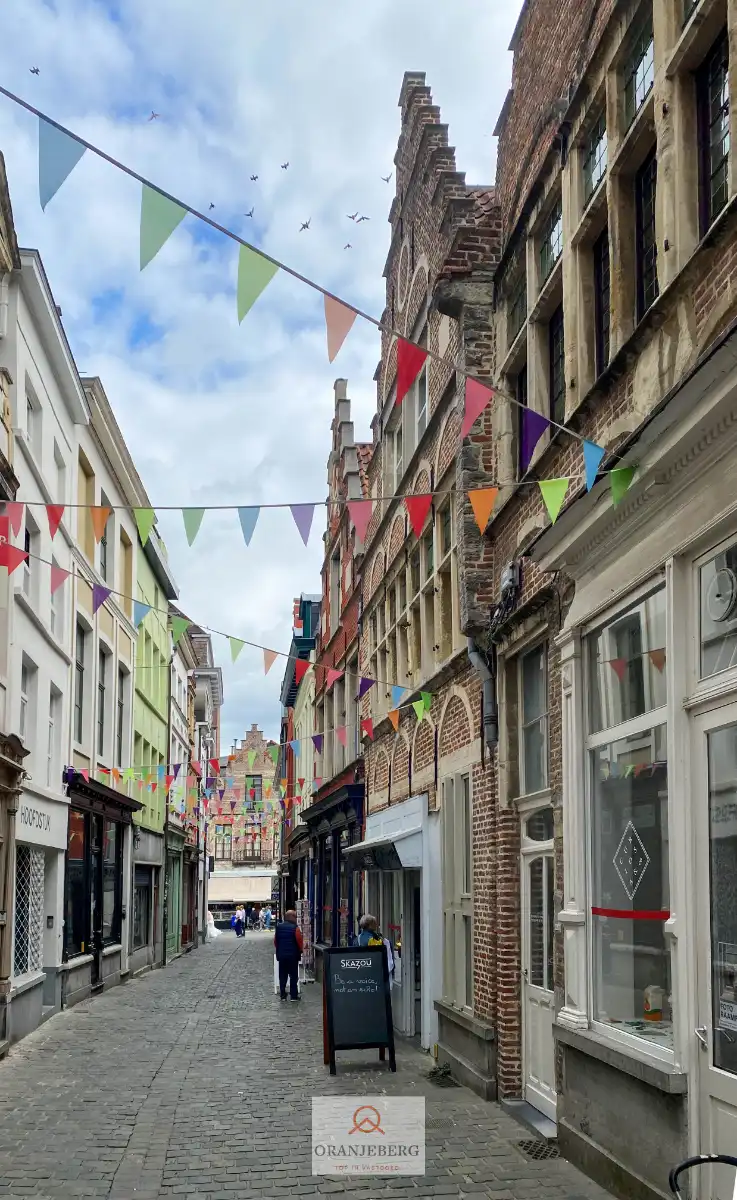 Gerenoveerd handelspand vlakbij Vrijdagsmarkt foto 24