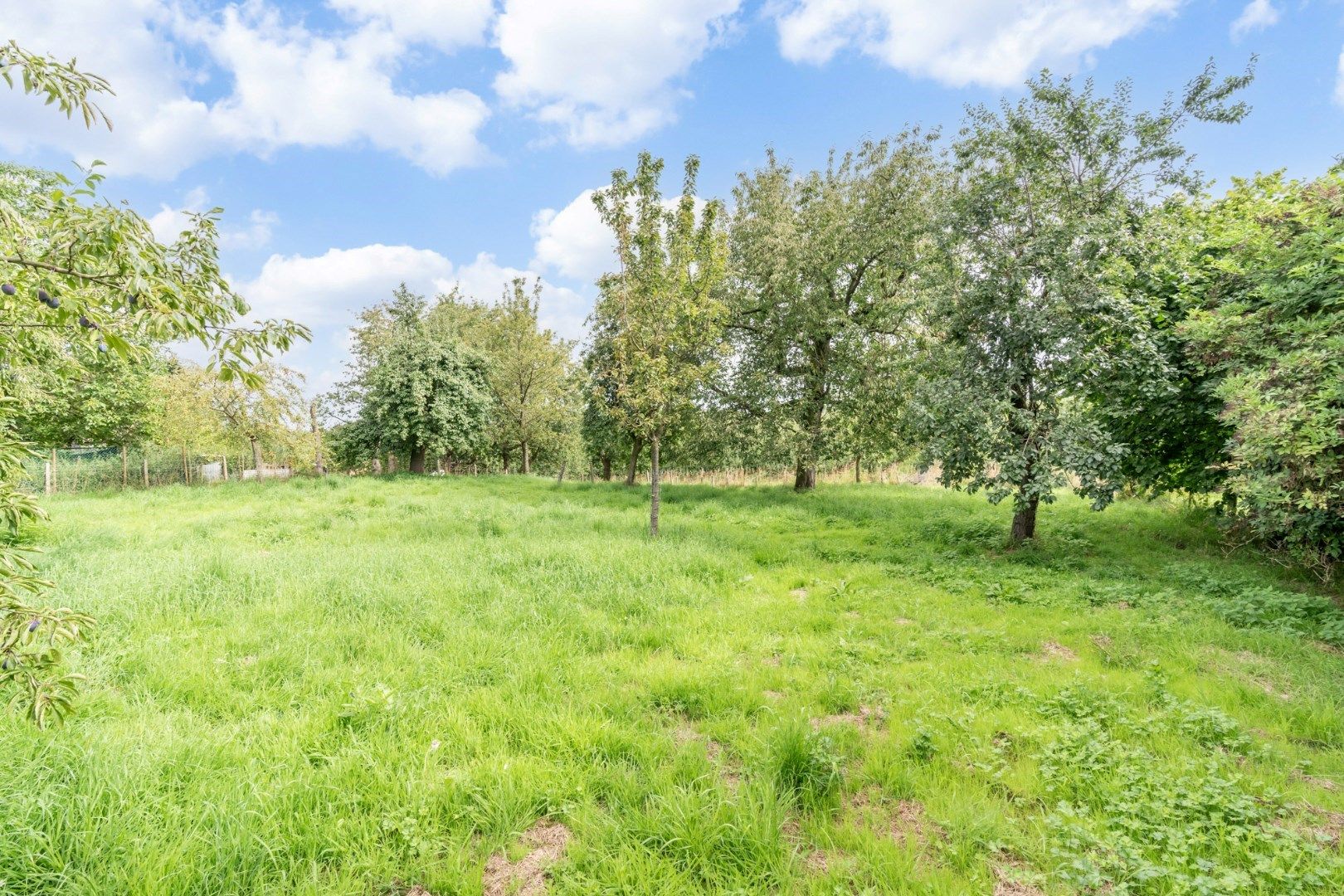 Te renoveren hoeve op een prachtige perceel van 23a 05ca, met weids zicht op de achtergelegen boomgaarden foto 25