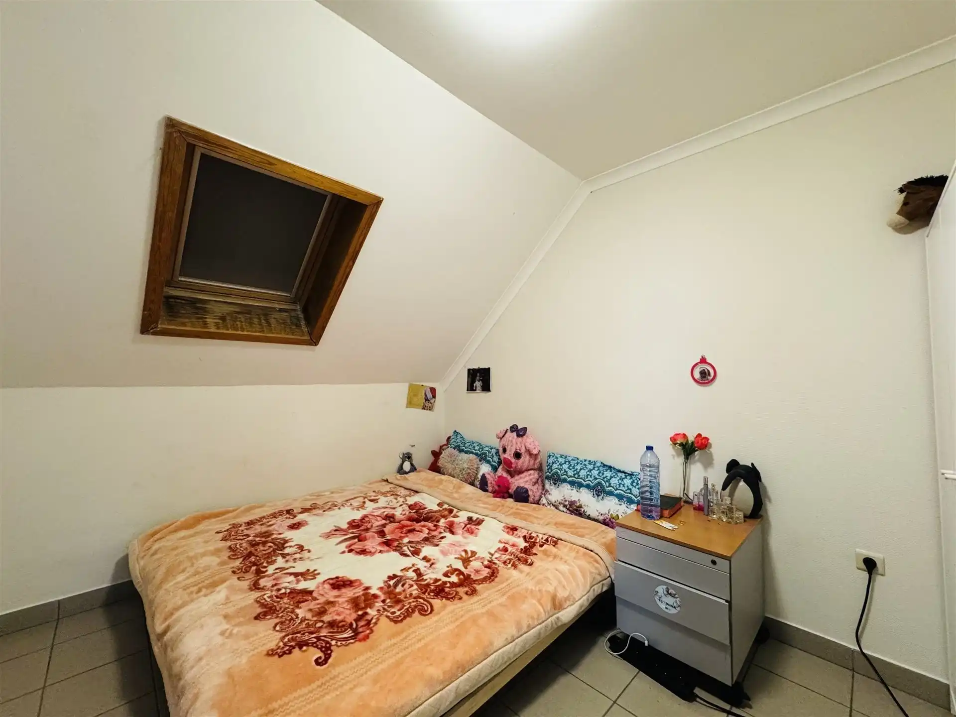 Hoeve met paardenaccomodatie. foto 34