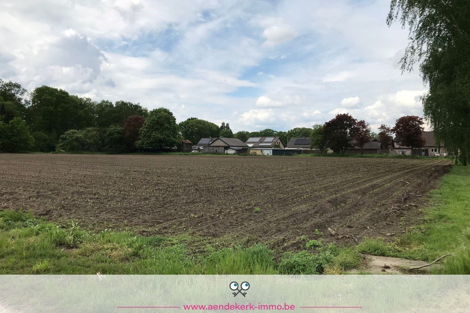 Uniek recreatieperceel in Dilsen-Stokkem – Kansen voor investeerders foto 6