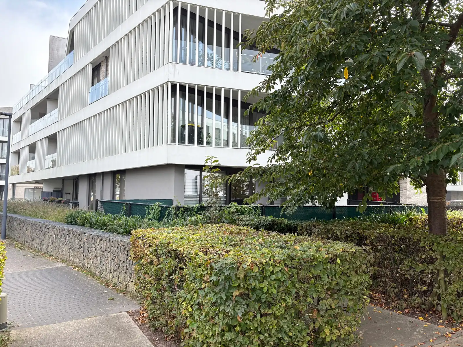 Grote glaspartij naar tuin/terras + recent esthetisch gebouw foto 18