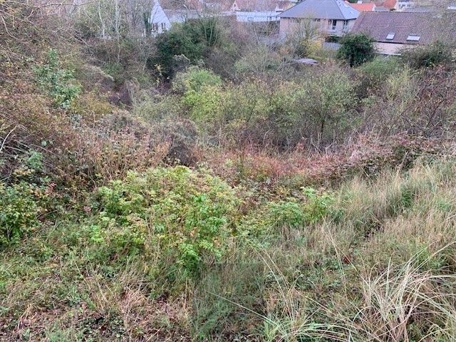 Mooi perceel bouwgrond van 956m² gelegen in de Golflaan te Oostduinkerke vlakbij het duinenreservaat Doornpanne en op wandelafstand van het centrum en de zee. foto 5