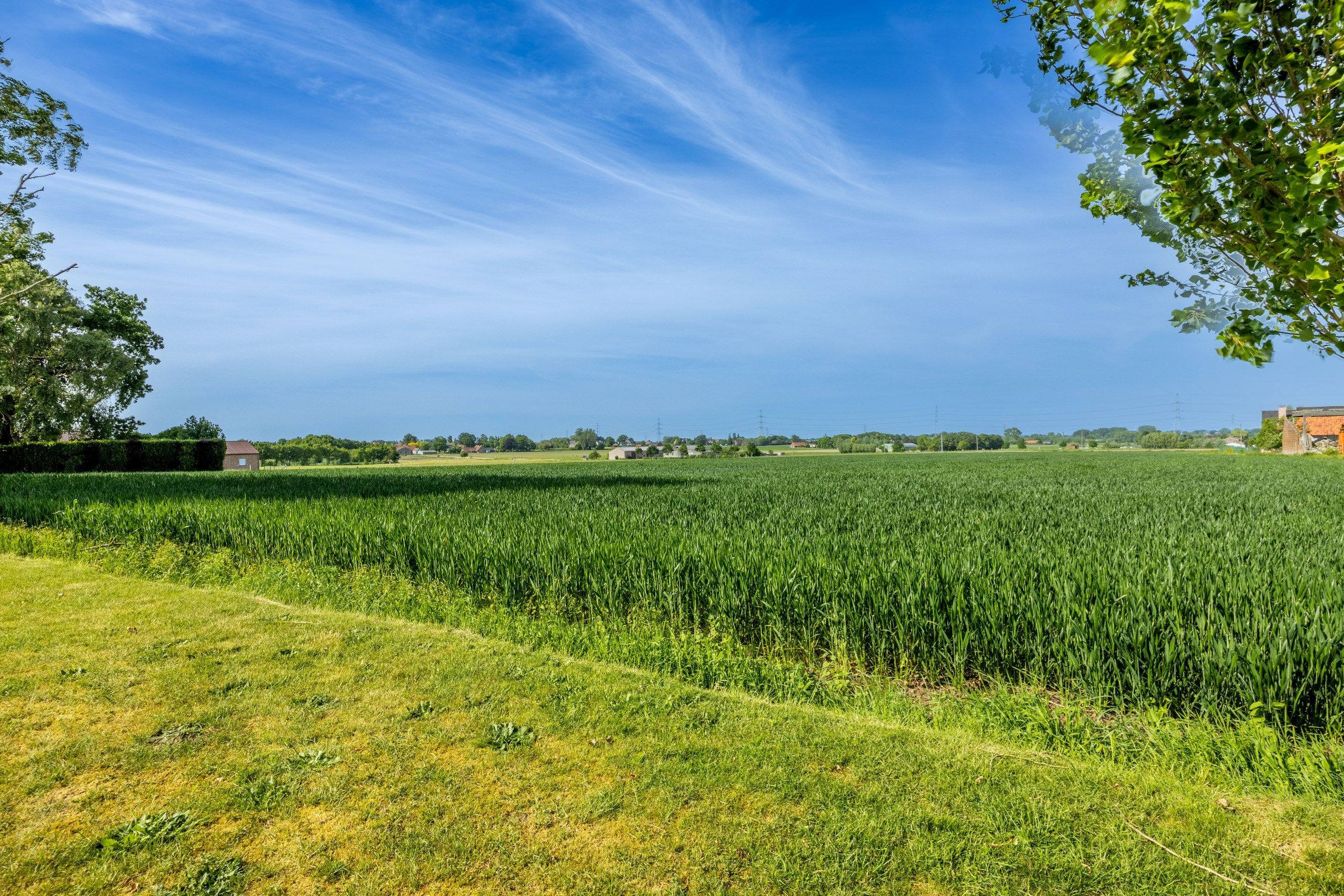 LANDELIJK GELEGEN WONING OP 3.803M² foto 22