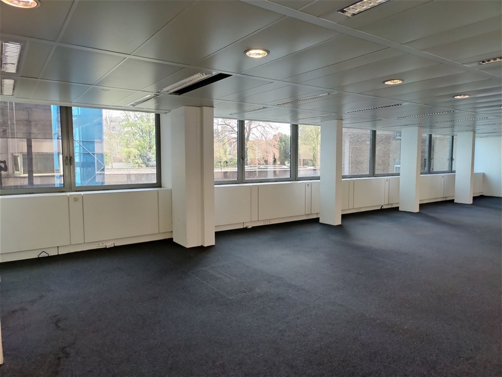 LOUIZA 209A: 444m² foto 3