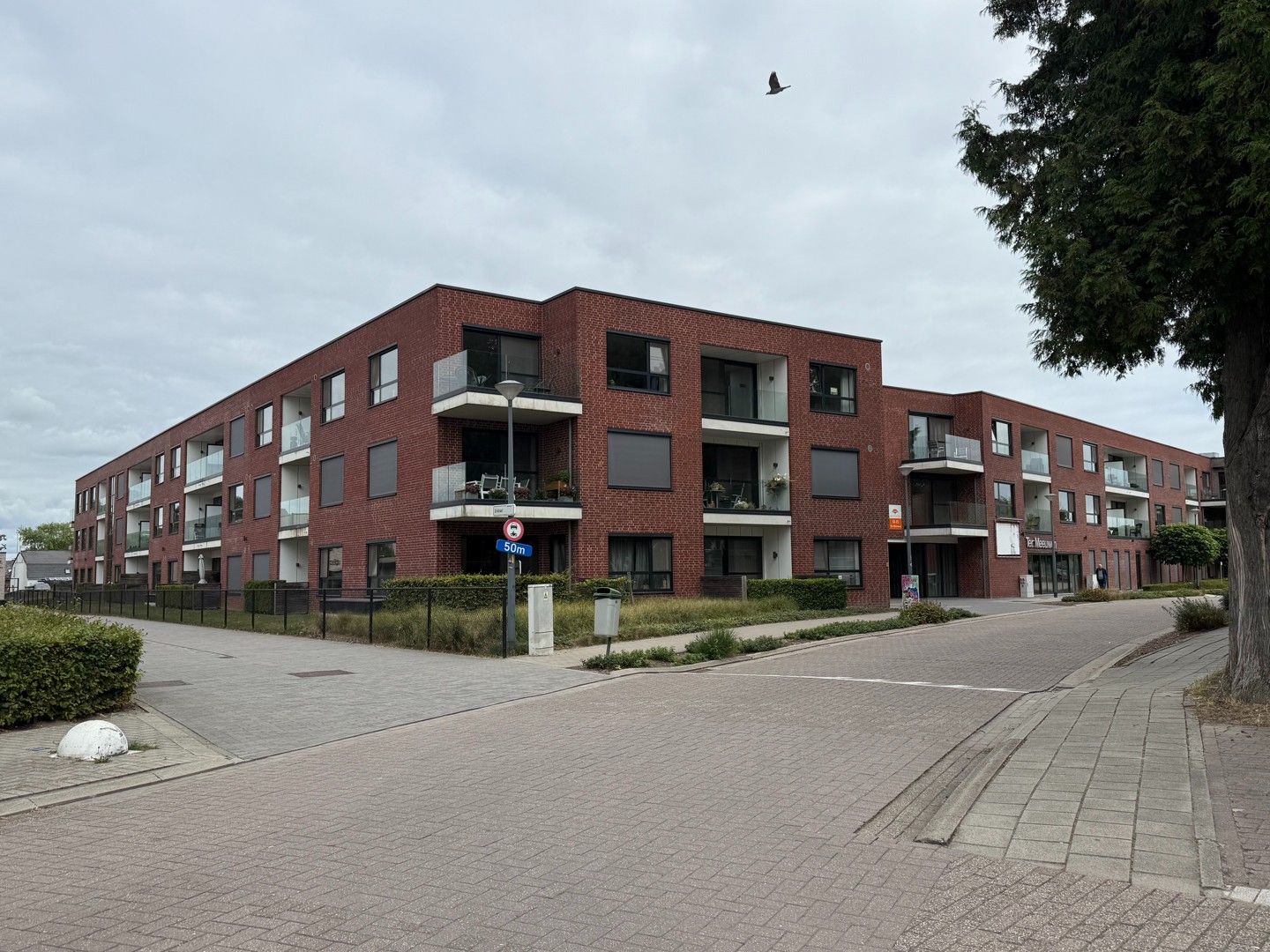 Instapklare gelijkvloerse assistentiewoning in het centrum van Meeuwen. foto 15