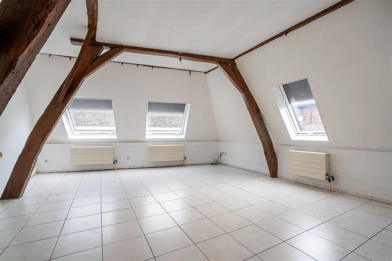 Gezellig 2-slaapkamer appartement in Diest foto 15