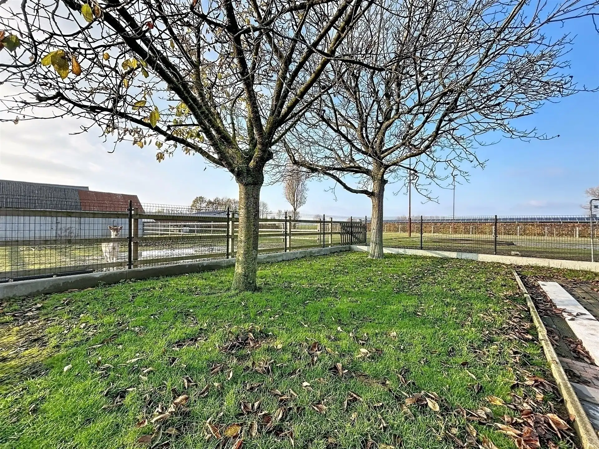 Ruime woning met bijbouw en weide op perceel van 6790 m²  foto 24