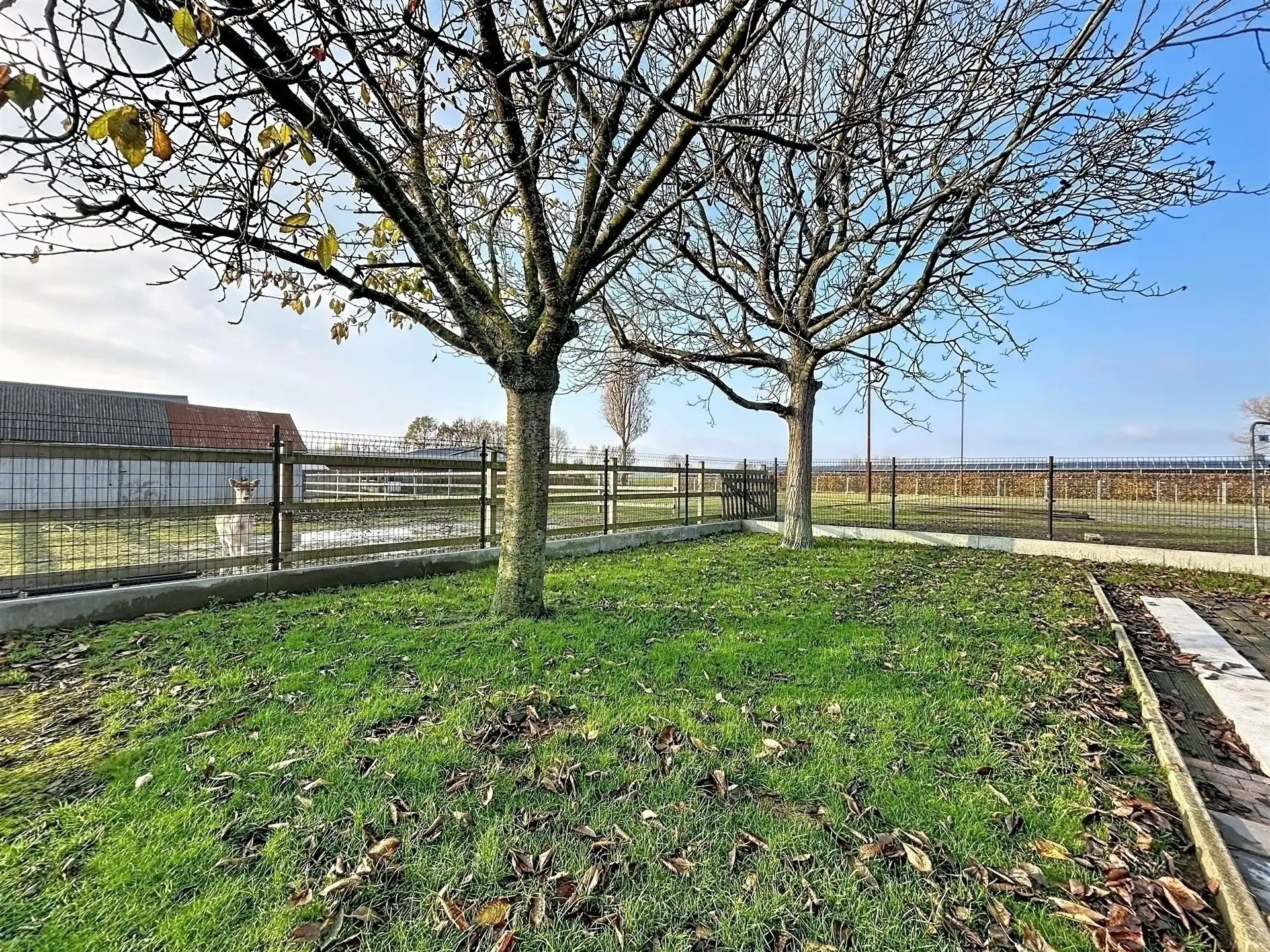Ruime woning met bijbouw en weide op perceel van 6790 m²  foto 27