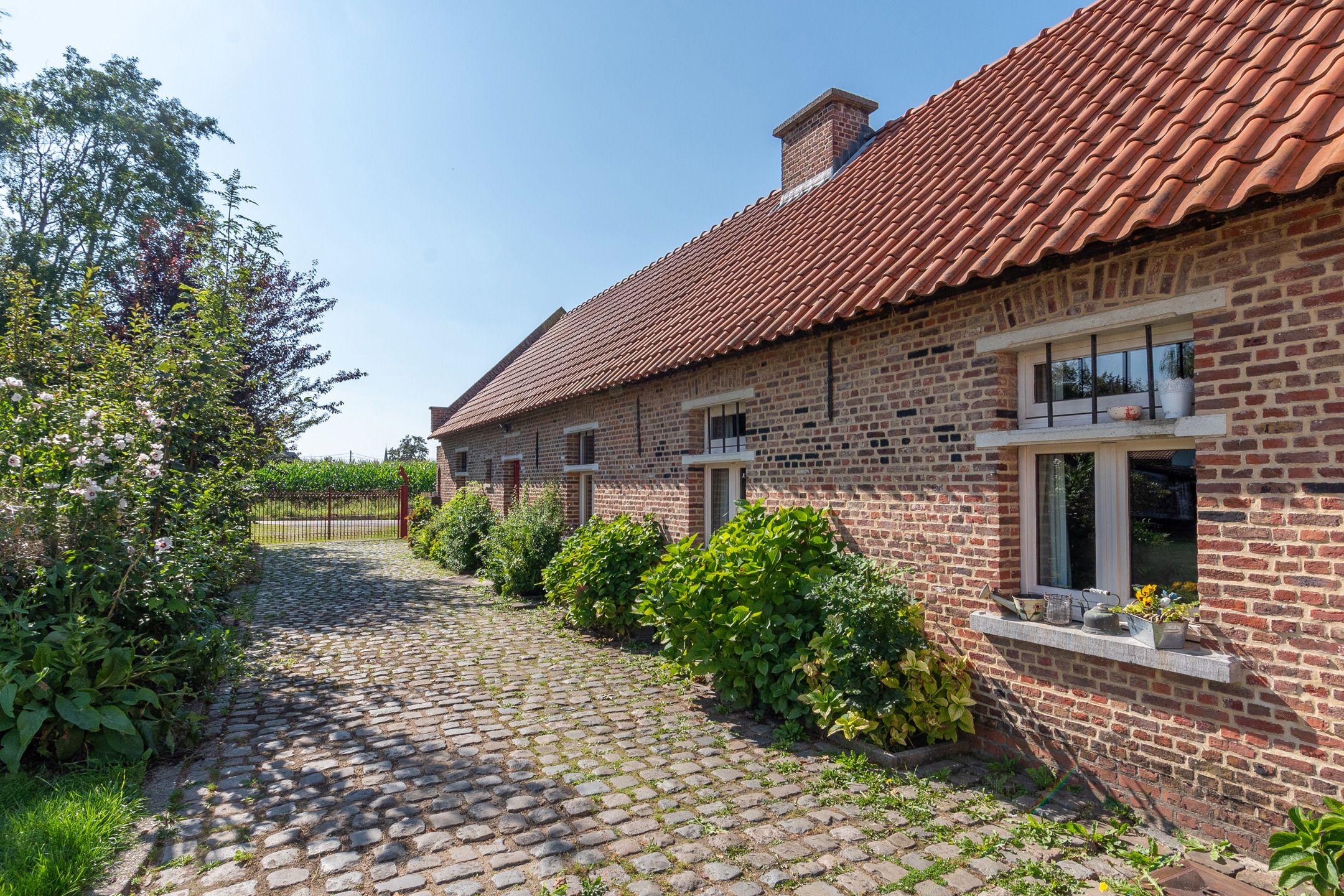 Charmante te renoveren hoeve op 11.690m² met unieke ligging! foto 3