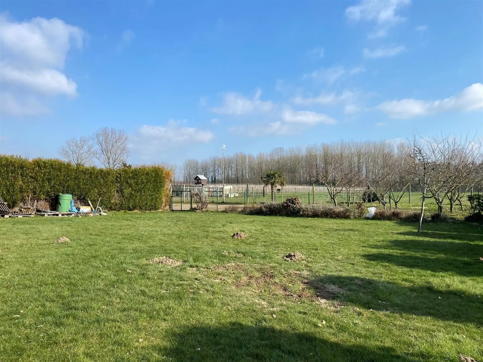 Halfopen woning met 4 slaapkamers en 2 badkamers. foto 12