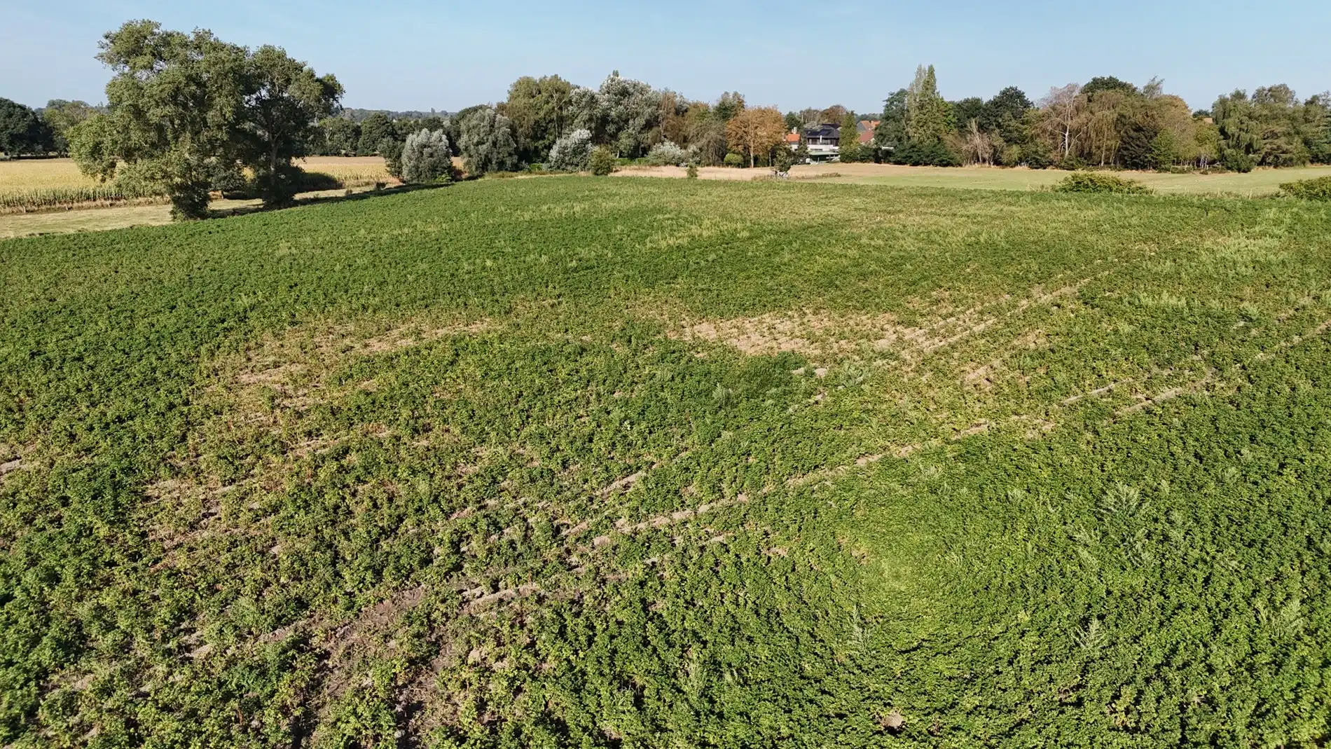 Landbouwgrond te koop van 2,88 ha te Koekelare Vrij van pacht na seizoen foto 4