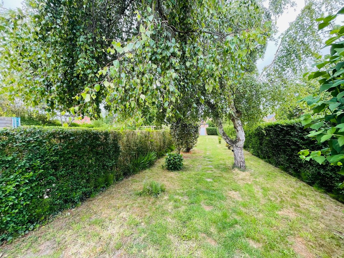 Vooraan Sint-Pieters, Energiezuinig gezellig INSTAPKLAAR woonhuis met GROTE TUIN , 2 Grote slaapkamers, 9 ZONNEPANELEN. foto 6