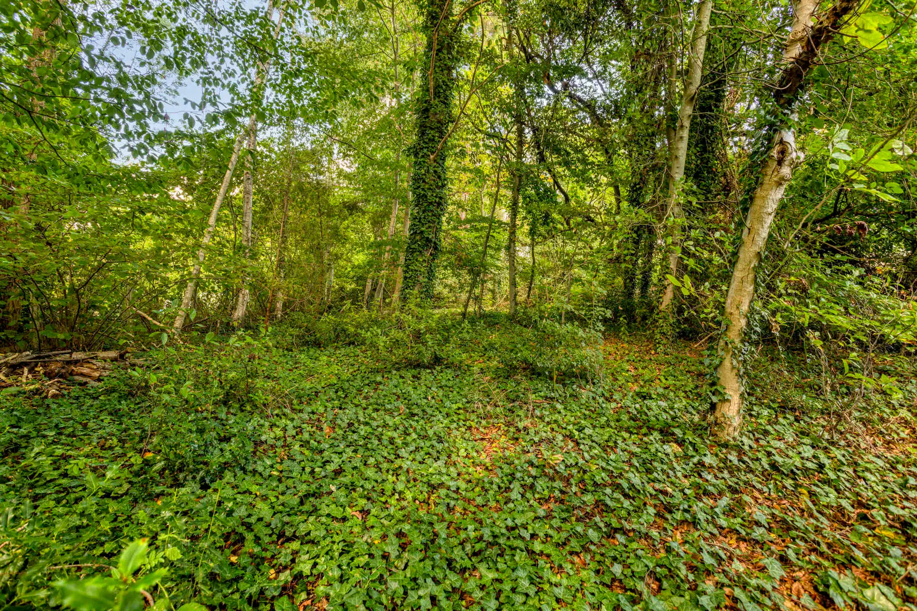 Ruime, energiezuinige gezinswoning met prachtige tuin foto 30