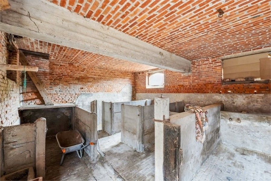CHARMANTE HOEVE OP EEN PERCEEL VAN 14A IN HEERS foto 32